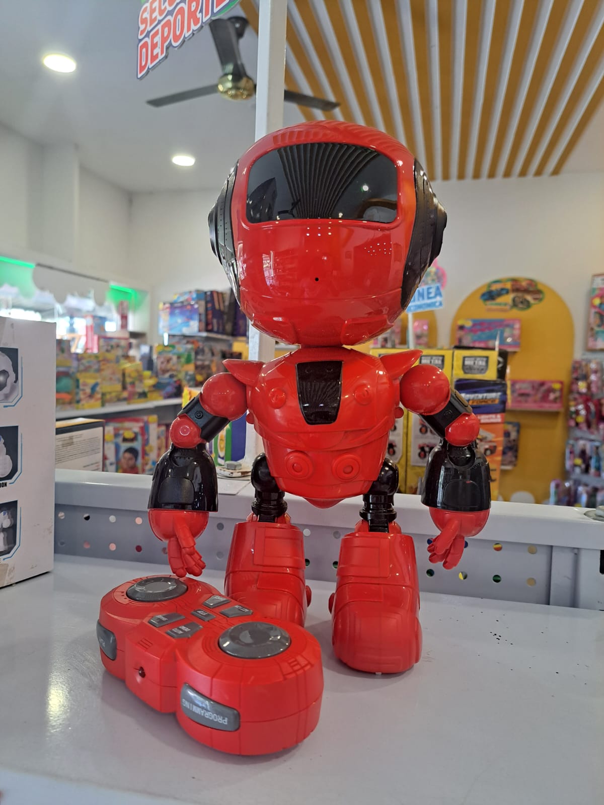 ROBOT R/C
